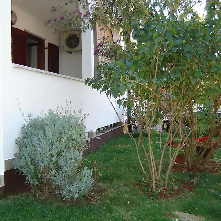 Elena Ground Floor 1 * Poreč